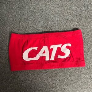 University of Arizona bandeau